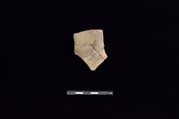 藏品(陶片)的圖片